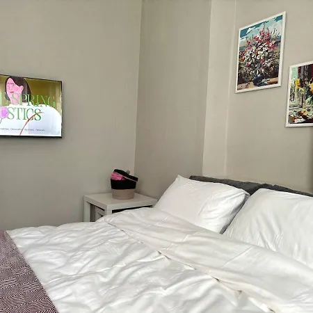 Pink House Walk Everywhere, 3br, Fiber Internet * Istanbul